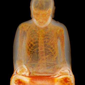 CT-Scan reveals mummified monk (possible self-mummification)